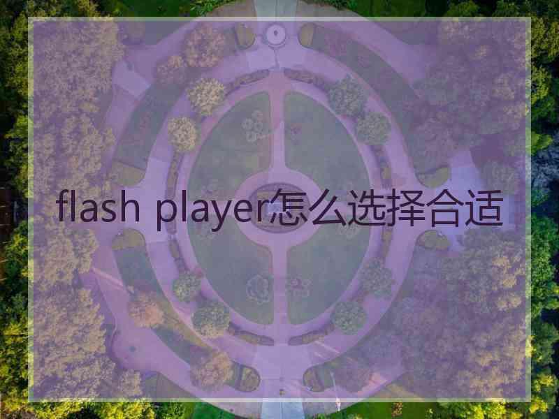 flash player怎么选择合适