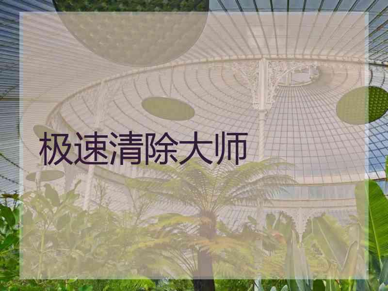极速清除大师 极速清除大师