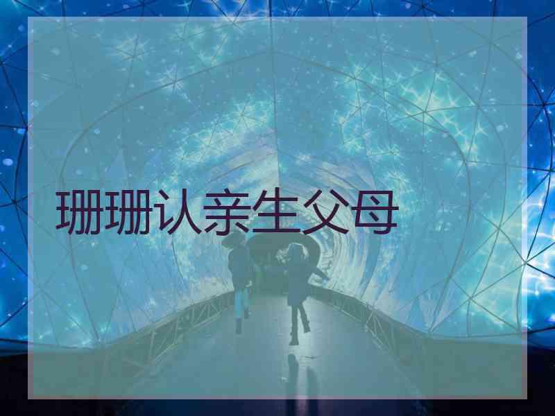 珊珊认亲生父母 珊珊认亲生父母