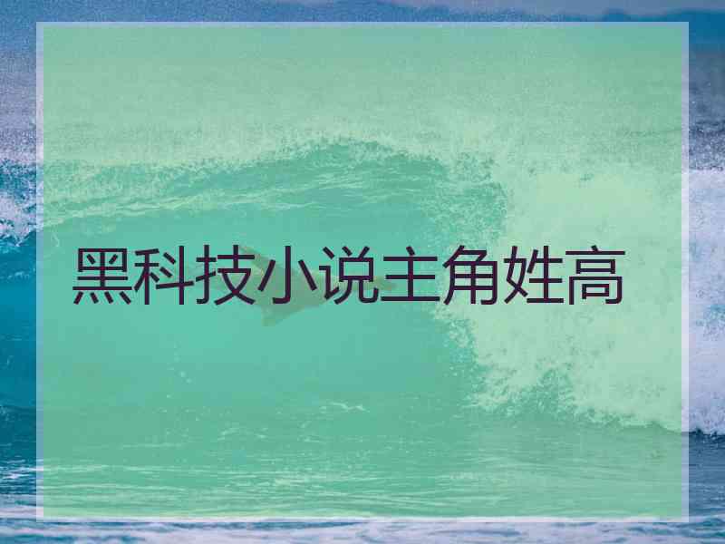 黑科技小说主角姓高 黑科技小说主角姓高
