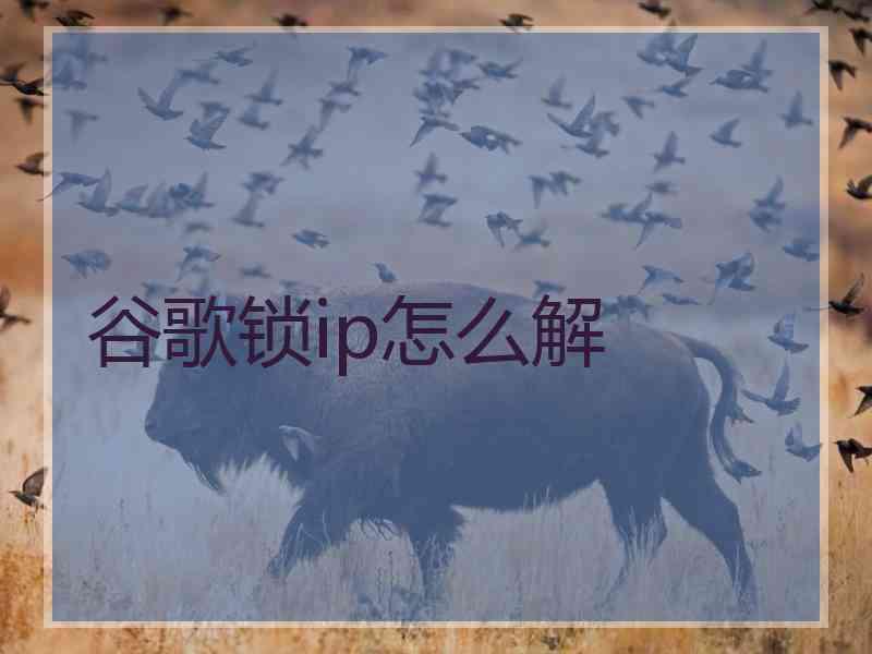 谷歌锁ip怎么解 谷歌锁ip怎么解