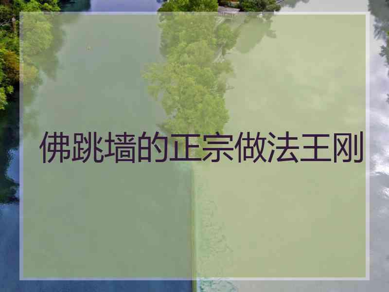 佛跳墙的正宗做法王刚 佛跳墙的正宗做法王刚