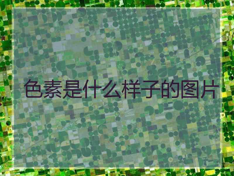 色素是什么样子的图片 色素是什么样子的图片