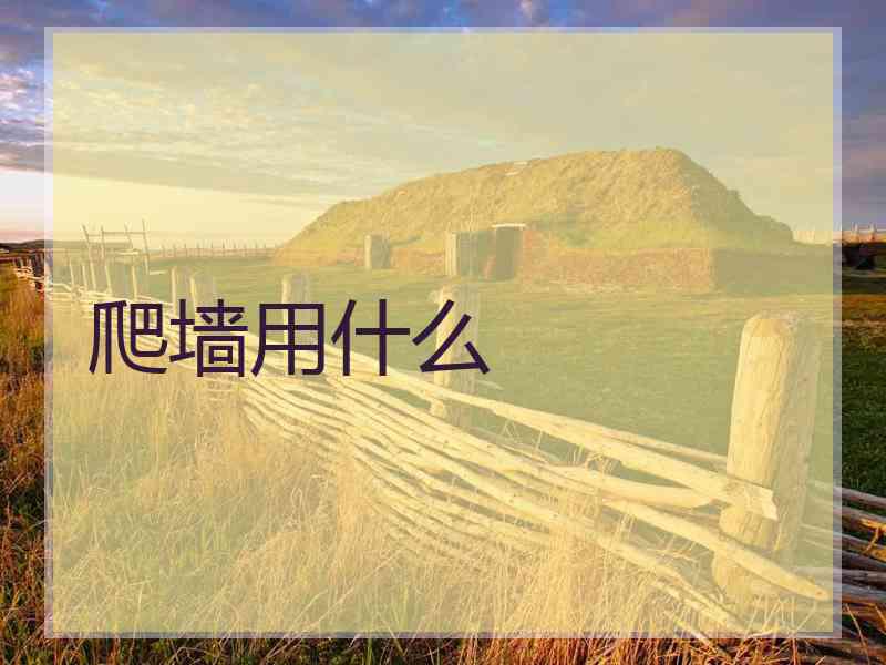 爬墙用什么 爬墙用什么