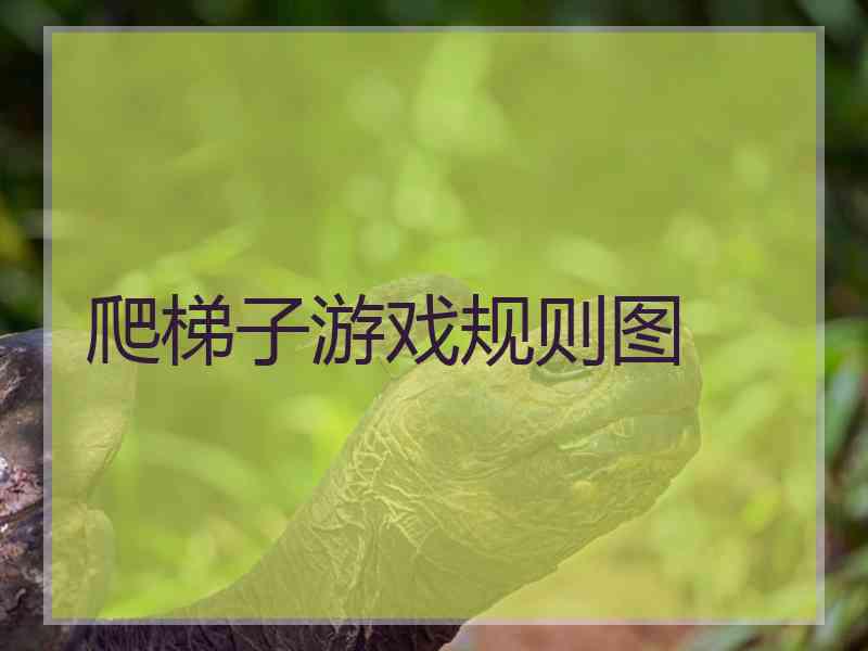 爬梯子游戏规则图 爬梯子游戏规则图