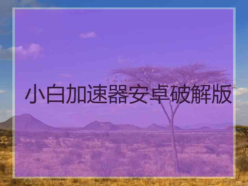 小白加速器安卓破解版 小白加速器安卓破解版