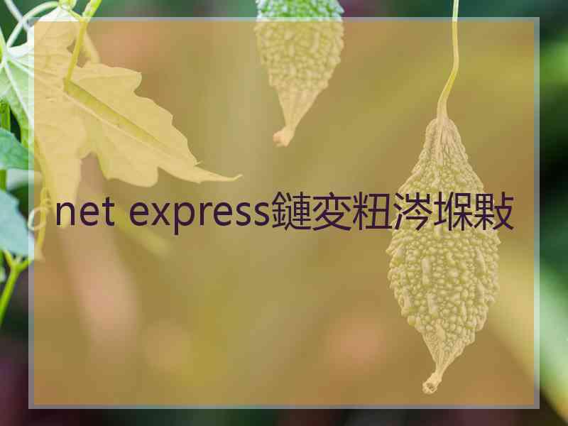 net express鏈変粈涔堢敤