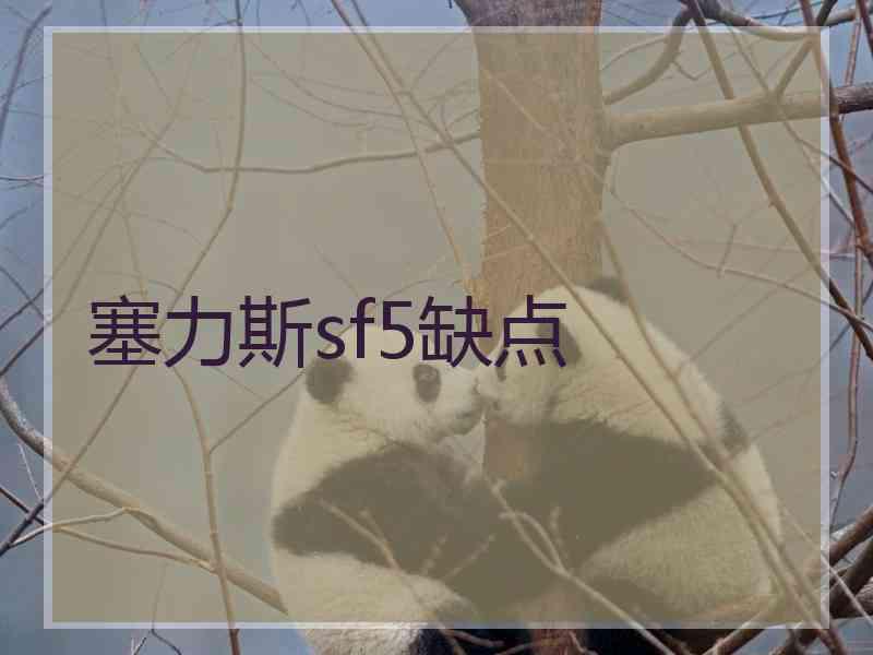 塞力斯sf5缺点 塞力斯sf5缺点