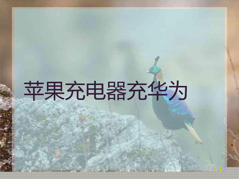 苹果充电器充华为 苹果充电器充华为