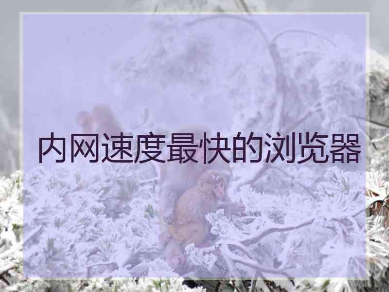 内网速度最快的浏览器 内网速度最快的浏览器