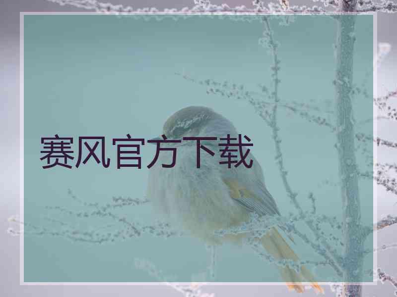 赛风官方下载 赛风官方下载