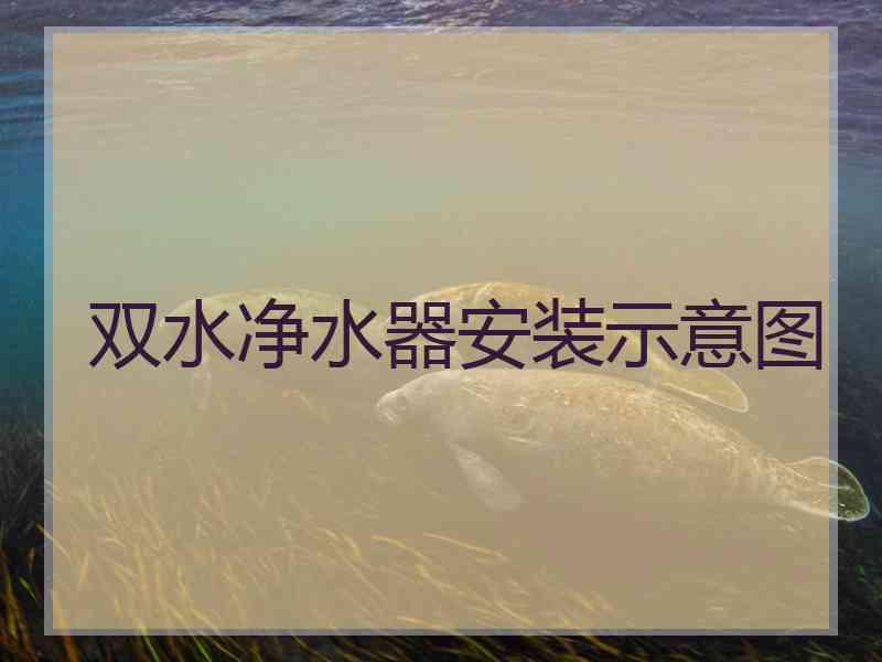 双水净水器安装示意图 双水净水器安装示意图