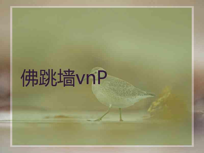 佛跳墙vnP 佛跳墙vnP