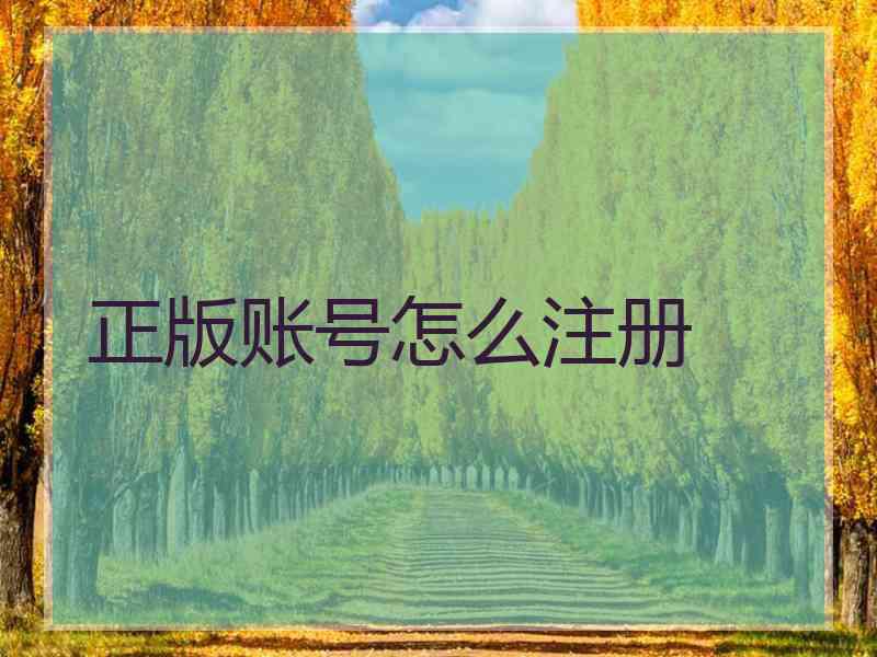 正版账号怎么注册 正版账号怎么注册