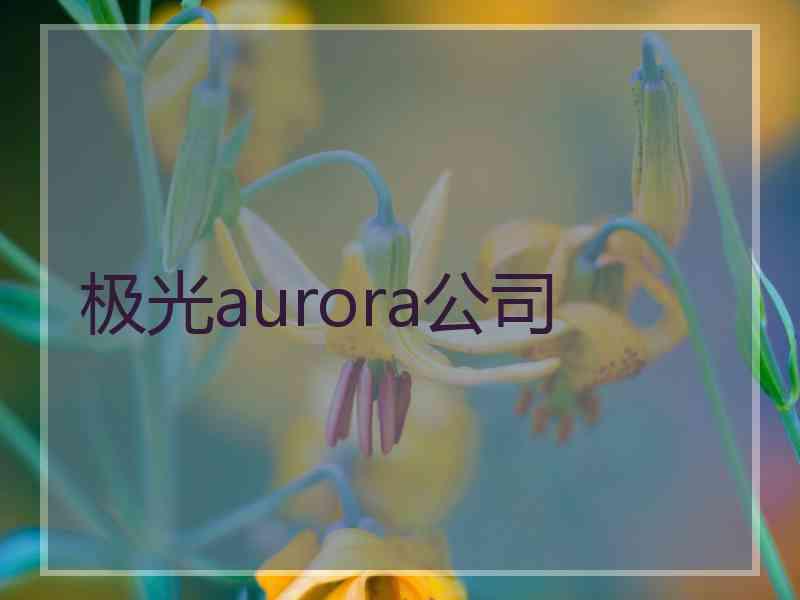 极光aurora公司 极光aurora公司