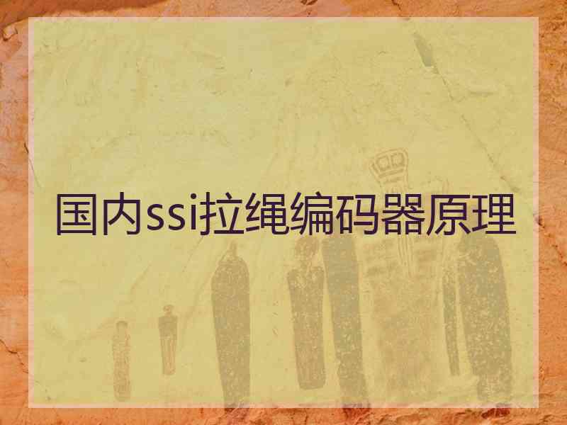 国内ssi拉绳编码器原理 国内ssi拉绳编码器原理