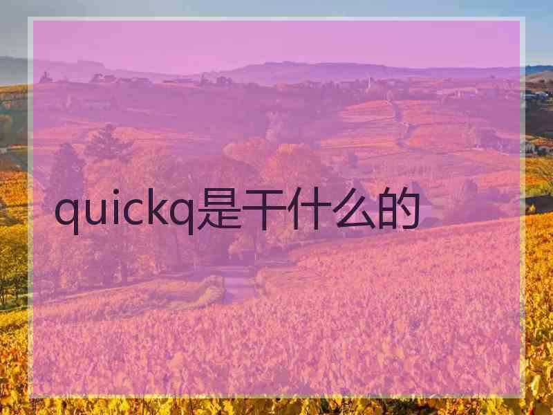 quickq是干什么的 quickq是干什么的