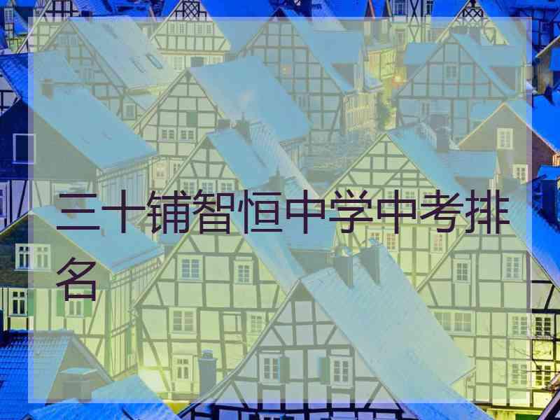 三十铺智恒中学中考排名 三十铺智恒中学中考排名