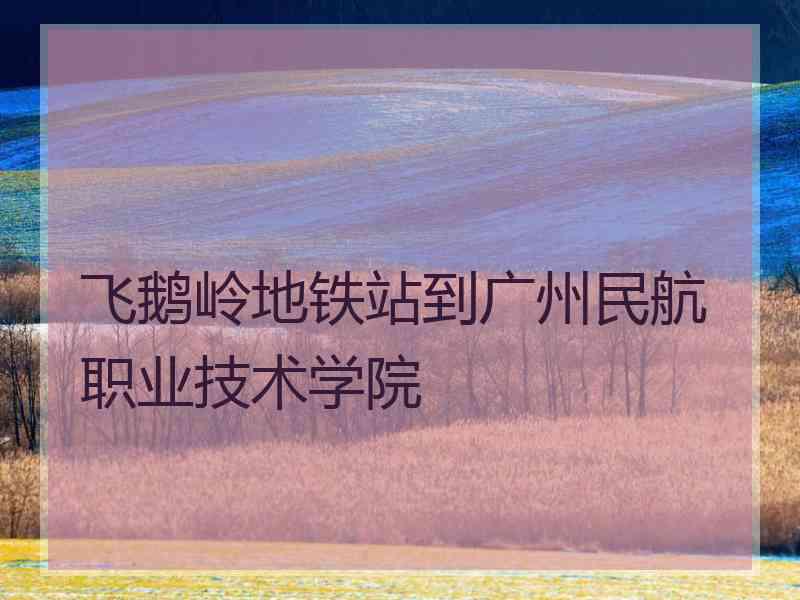 飞鹅岭地铁站到广州民航职业技术学院 飞鹅岭地铁站到广州民航职业技术学院