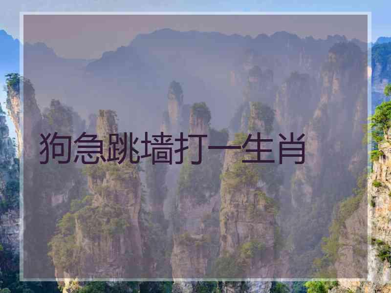 狗急跳墙打一生肖 狗急跳墙打一生肖