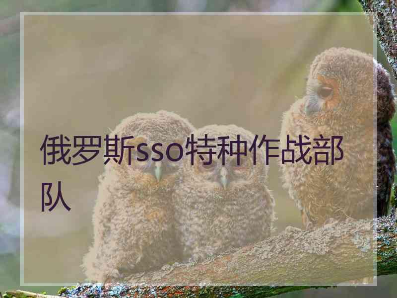 俄罗斯sso特种作战部队 俄罗斯sso特种作战部队
