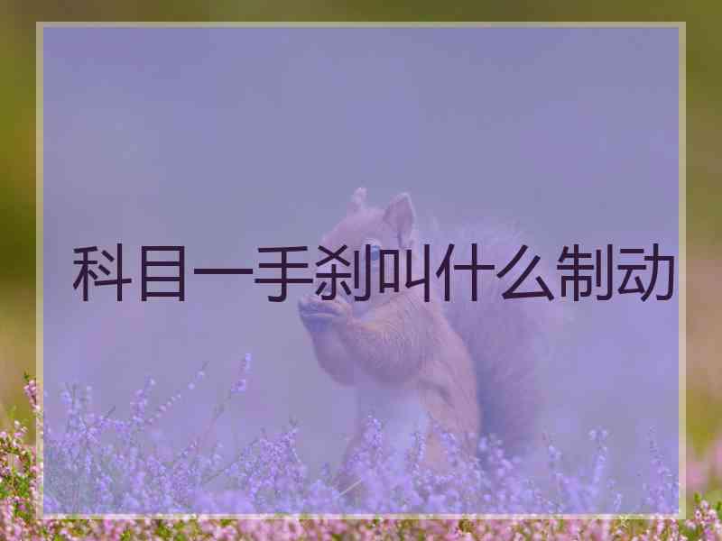 科目一手刹叫什么制动 科目一手刹叫什么制动