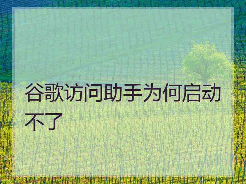 谷歌访问助手为何启动不了 谷歌访问助手为何启动不了
