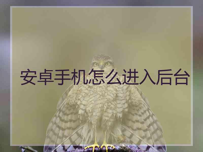 安卓手机怎么进入后台 安卓手机怎么进入后台