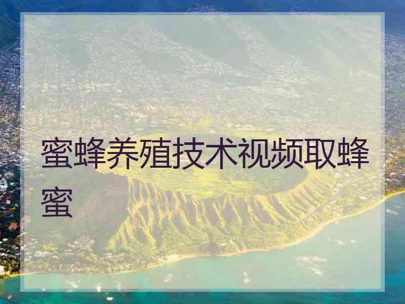 蜜蜂养殖技术视频取蜂蜜 蜜蜂养殖技术视频取蜂蜜