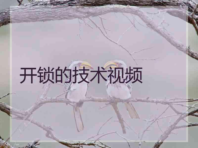 开锁的技术视频 开锁的技术视频
