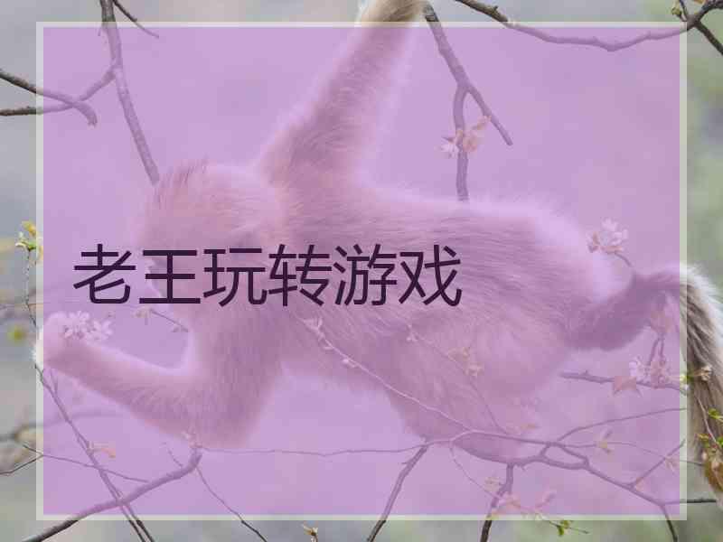 老王玩转游戏 老王玩转游戏