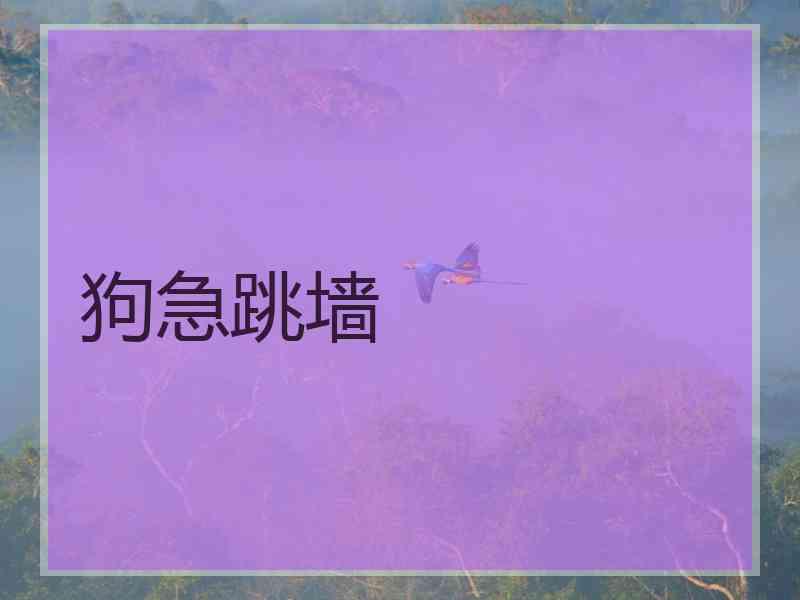 狗急跳墙 狗急跳墙