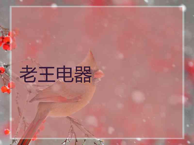 老王电器 老王电器