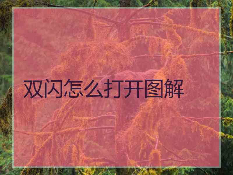 双闪怎么打开图解 双闪怎么打开图解
