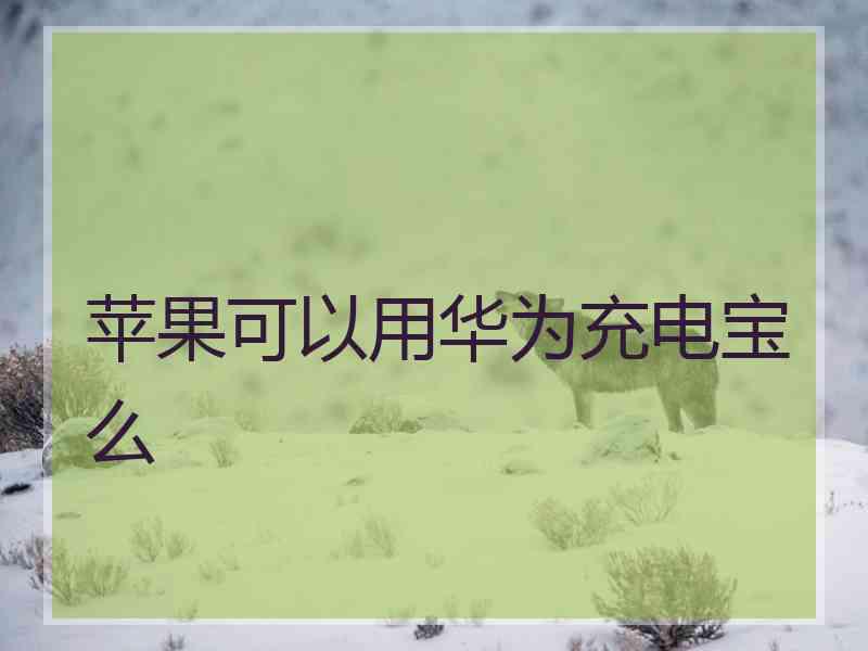 苹果可以用华为充电宝么 苹果可以用华为充电宝么