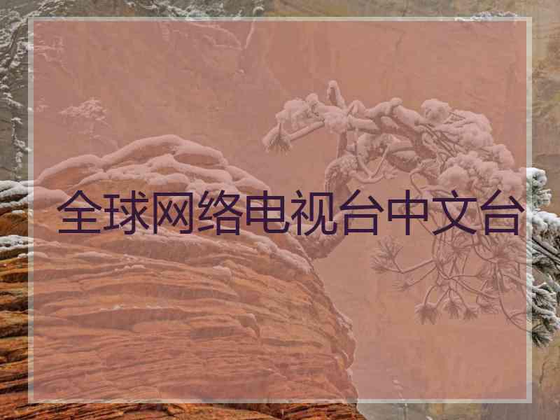全球网络电视台中文台 全球网络电视台中文台