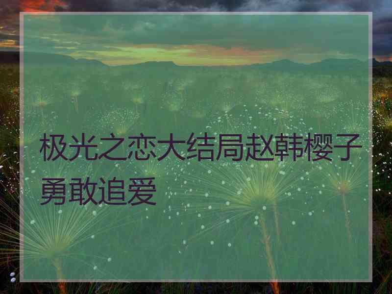 极光之恋大结局赵韩樱子勇敢追爱 极光之恋大结局赵韩樱子勇敢追爱