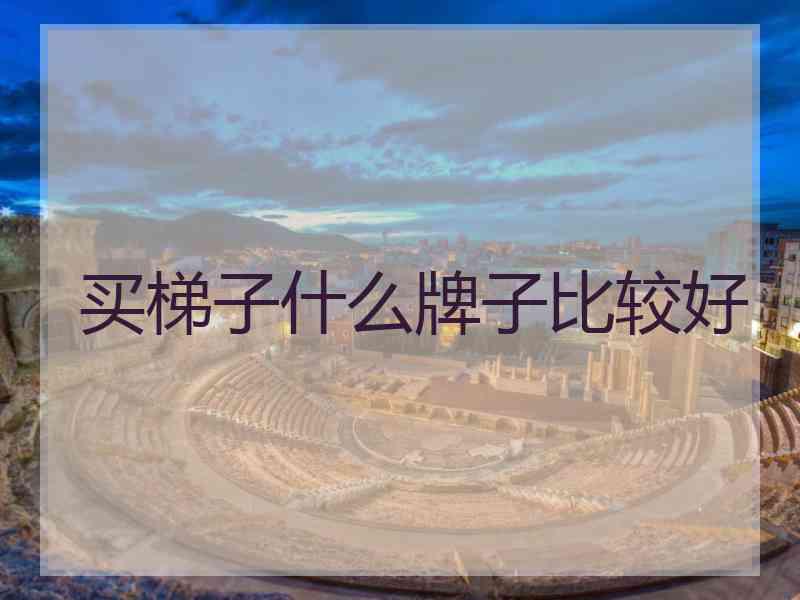 买梯子什么牌子比较好 买梯子什么牌子比较好