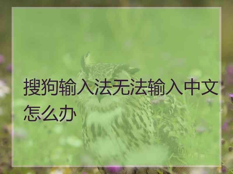 搜狗输入法无法输入中文怎么办 搜狗输入法无法输入中文怎么办