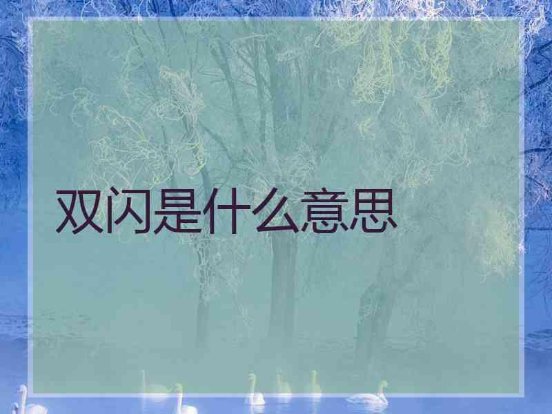 双闪是什么意思 双闪是什么意思