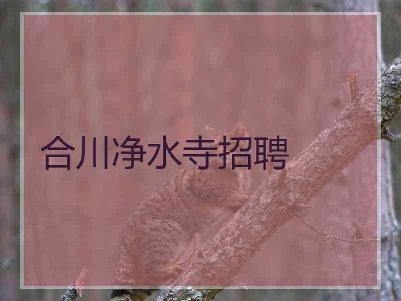 合川净水寺招聘 合川净水寺招聘