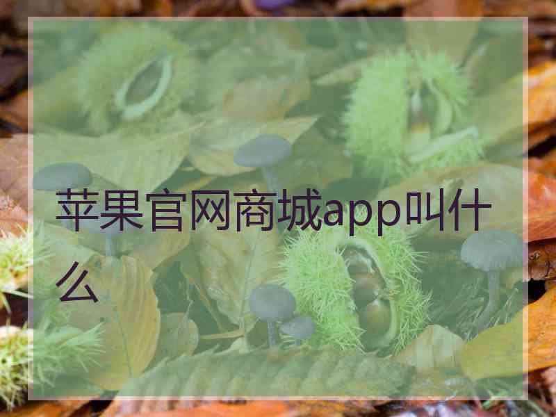 苹果官网商城app叫什么 苹果官网商城app叫什么