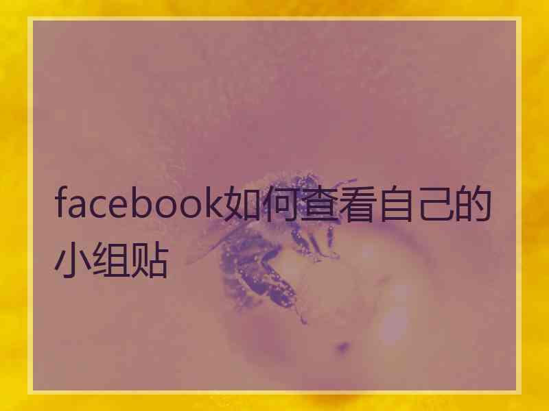 facebook如何查看自己的小组贴 facebook如何查看自己的小组贴