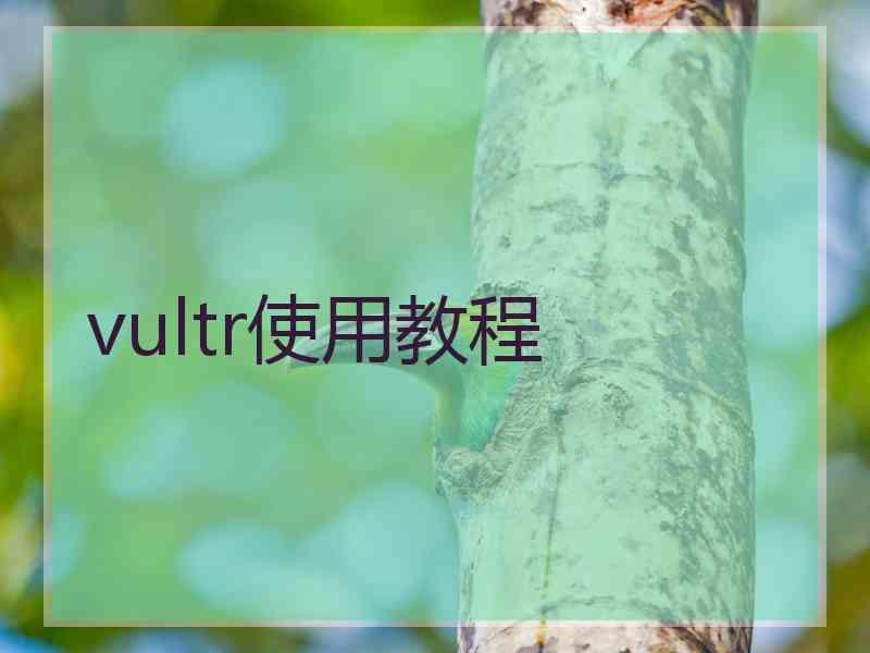 vultr使用教程 vultr使用教程