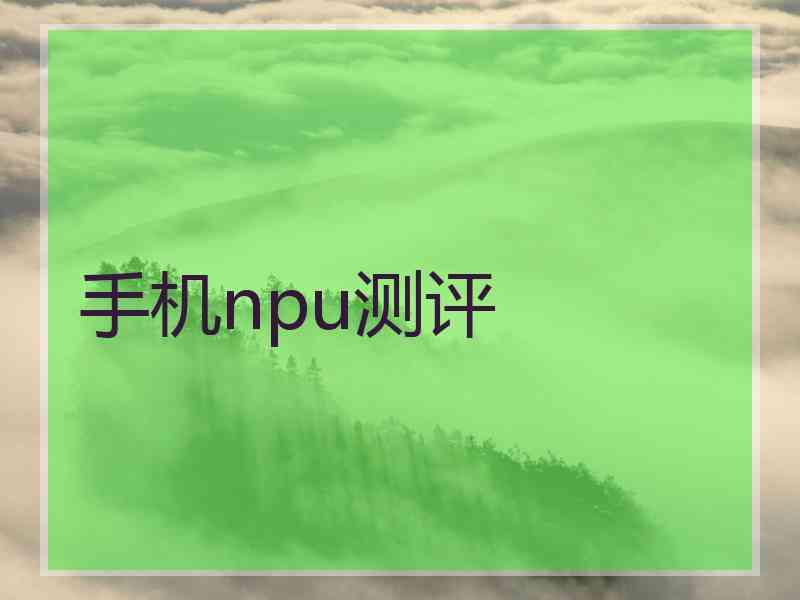 手机npu测评 手机npu测评