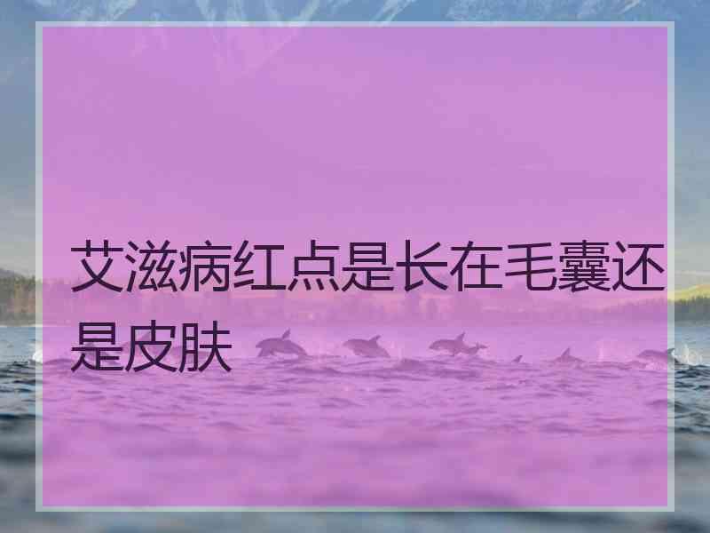 艾滋病红点是长在毛囊还是皮肤 艾滋病红点是长在毛囊还是皮肤