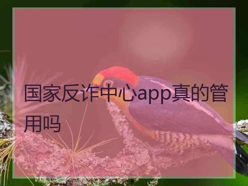 国家反诈中心app真的管用吗 国家反诈中心app真的管用吗