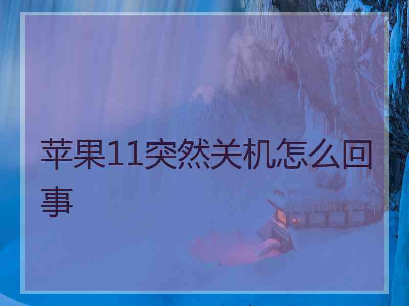 苹果11突然关机怎么回事 苹果11突然关机怎么回事