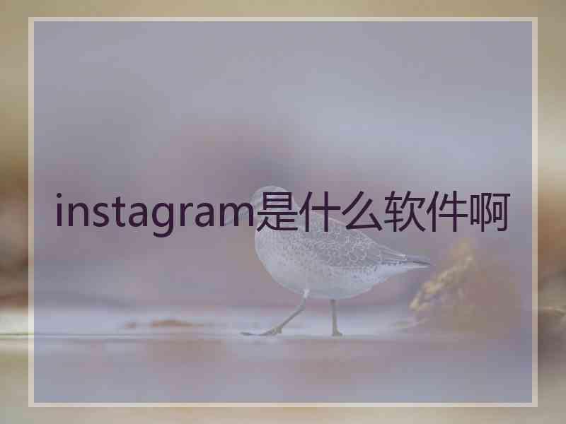 instagram是什么软件啊 instagram是什么软件啊