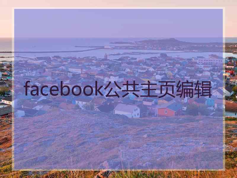 facebook公共主页编辑 facebook公共主页编辑